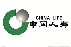 中國人壽財(cái)產(chǎn)保險(xiǎn)股份公司消防檢測